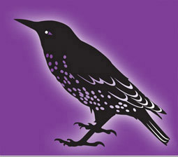 Starling Design